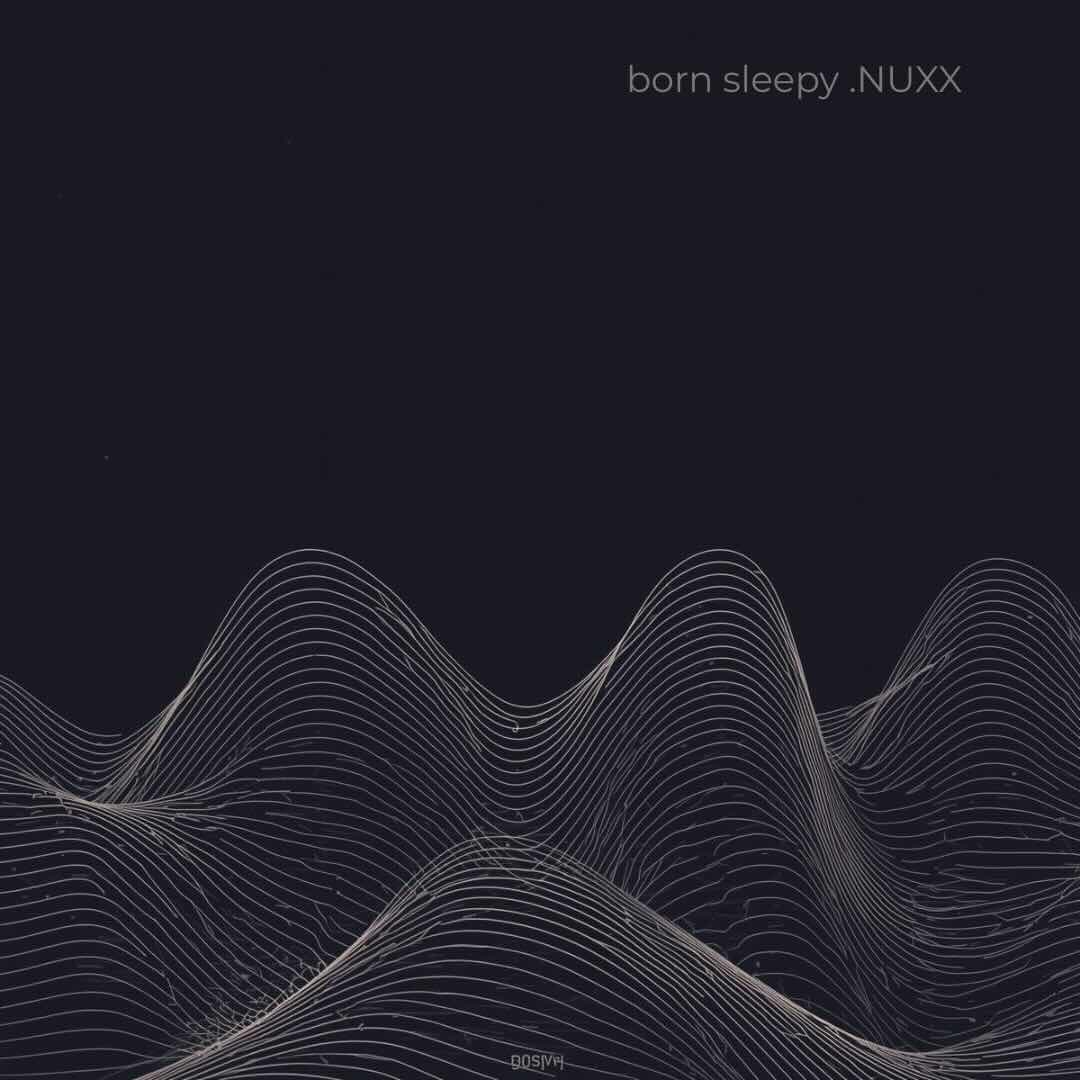 Born Slippy .NUXX image